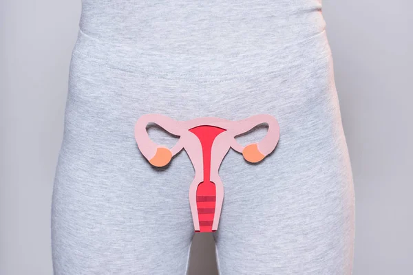 Visión parcial de la mujer con el sistema reproductor femenino de papel sobre fondo gris - foto de stock