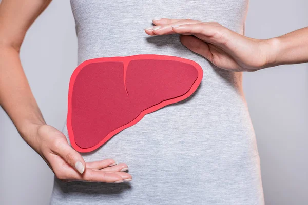 Partial view of woman with paper made human liver on grey background — Stock Photo