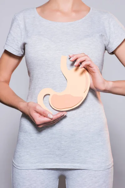 Partial view of woman holding paper made human stomach on grey background — Stock Photo