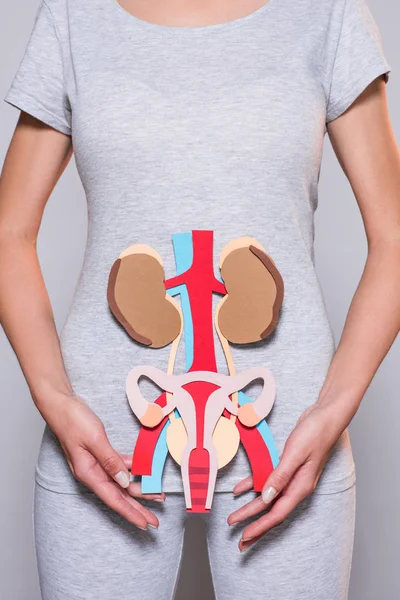 Abgeschnittene Aufnahme einer Frau mit Papier aus menschlichen inneren Organen und weiblichem Fortpflanzungssystem auf grauem Hintergrund — Stockfoto