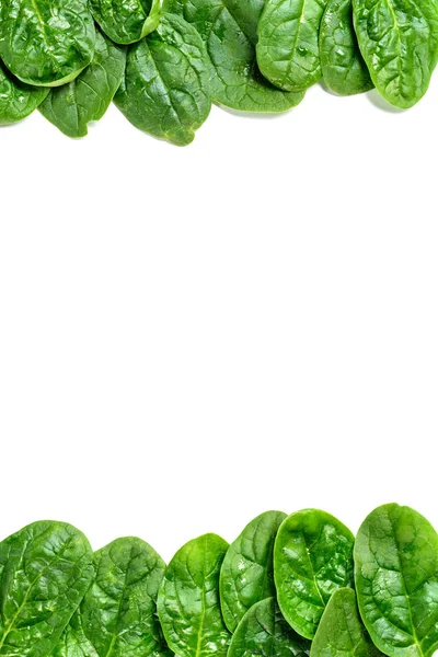 Marco de hojas de espinacas frescas con gotas de agua aisladas en blanco - foto de stock