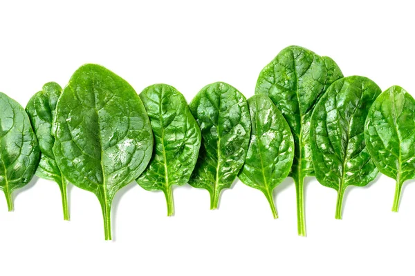 Vue du dessus des feuilles d'épinards verts humides avec des gouttes d'eau isolées sur blanc — Photo de stock