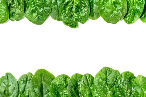 Frame of wet organic spinach leaves isolated on white — Stock Photo