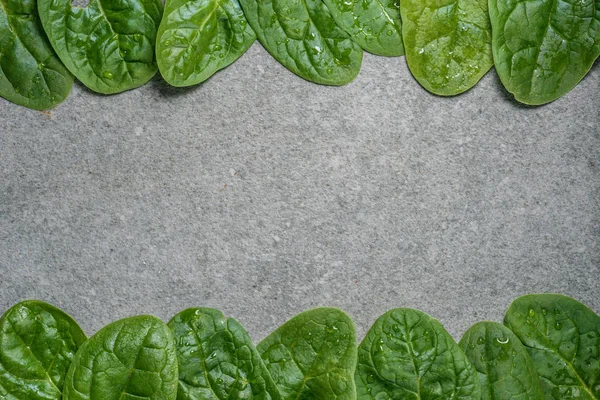 Cadre de feuilles d'épinards vertes et humides sur fond gris — Photo de stock