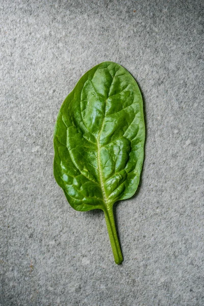 Вид сверху на мокрый свежий лист шпината на сером фоне — стоковое фото