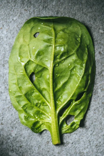 Top view of wet natural spinach leaf on grey background — Stock Photo