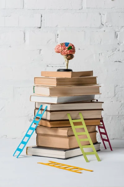 Модель мозку на купі книг і маленьких барвистих сходів — стокове фото