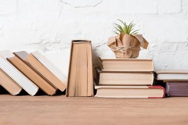 Libros y plantas en maceta verde sobre mesa de madera - foto de stock