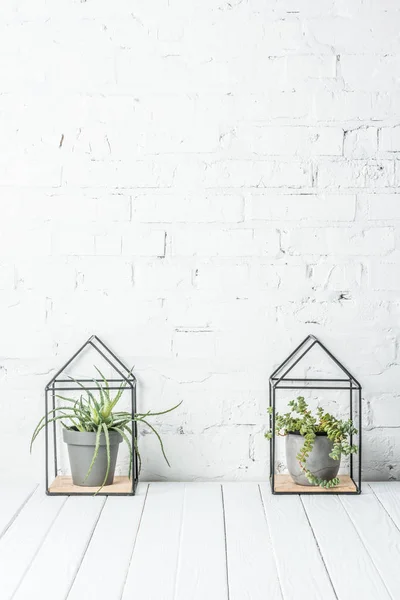 Green plants in pots on white wooden table near brick wall — Stock Photo