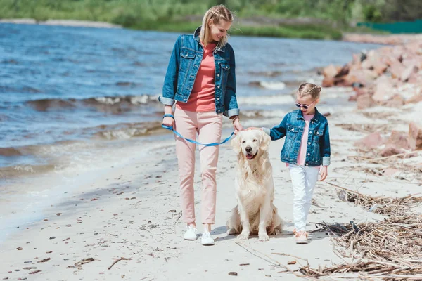 Οικογένεια Περπάτημα Golden Retriever Σκύλου Στην Ακτή Θάλασσας — Φωτογραφία Αρχείου