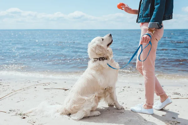 Recortado Vista Mujer Jugando Pelota Con Golden Retriever Orilla Del — Foto de Stock