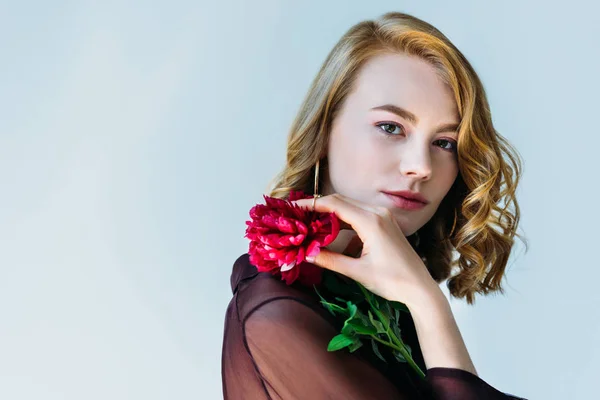 Jovem Elegante Segurando Flor Vermelha Olhando Para Câmera Isolada Cinza — Fotografia de Stock