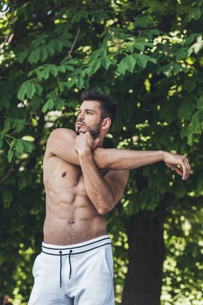 Handsome Young Man Stretching Arms Workout Park — Stock Photo, Image