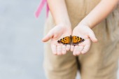 Schnappschuss von kleinem Kind, das Schmetterling in Händen hält