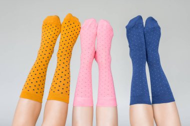 cropped shot of female legs in different colorful socks isolated on gray background  clipart