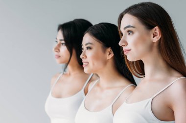 büyüleyici çok ırklı kız, izole üzerinde gri arıyorum