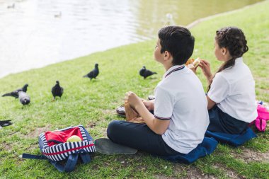 çimenlerin üzerinde oturan ve besleme birds çok güzel okul
