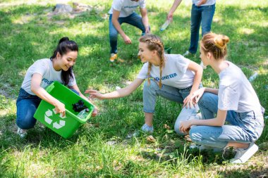 young volunteers cleaning green lawn in park together clipart