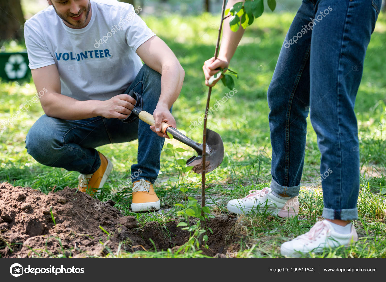 tree shovel