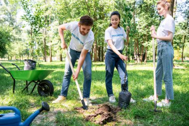 ağaç dikme kürek yeşil park ile birlikte gönüllü