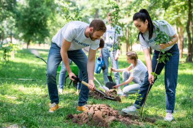 volunteers planting trees in green park together clipart