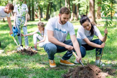 young volunteers planting new trees in park  clipart