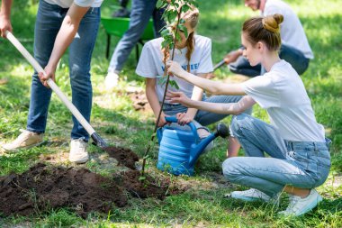 young volunteers planting new trees in park  clipart