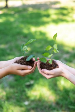 cropped view of girls holding ground with seedlings in hands clipart