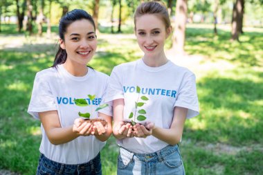 beautiful volunteers holding soil with sprouts in hands clipart