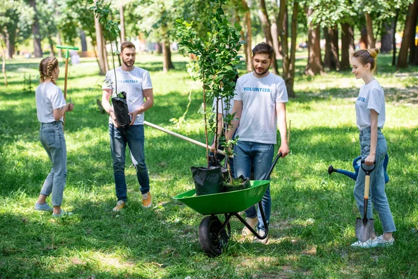 Щасливі Добровольці Разом Саджають Дерева Парку — стокове фото