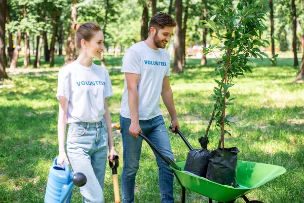 Couple Volunteers Planting Trees Park Together — Stock Photo, Image