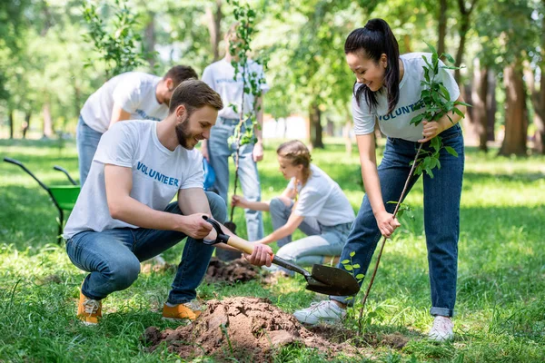 若いボランティア一緒に緑豊かな公園の木を植える — ストック写真