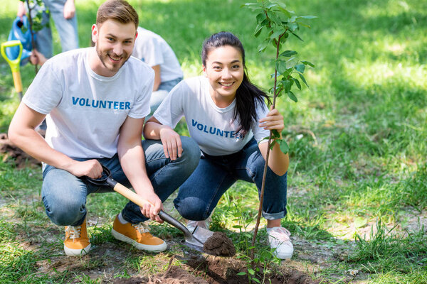 Пара улыбающихся волонтеров сажают новое дерево в парке
 
