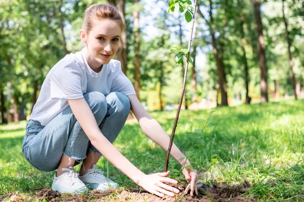 Jovem Atraente Voluntário Plantar Nova Árvore Parque — Fotografia de Stock
