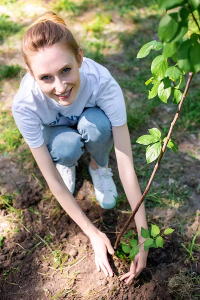 Overhead View Young Smiling Volunteer Planting New Tree — Stock Photo, Image