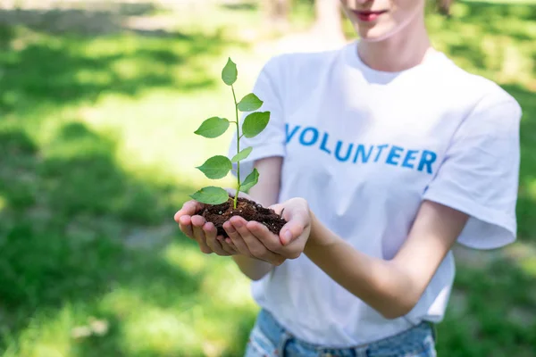 Cropped View Female Volunteer Holding Soil Sprout Hands — Stock Photo, Image