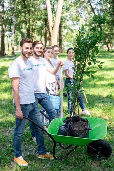 Jeunes Volontaires Avec Nouveaux Arbres Dans Une Brouette — Photo