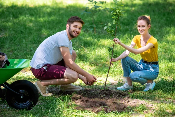 Unga Leende Par Plantera Nya Träd Park — Gratis stockfoto