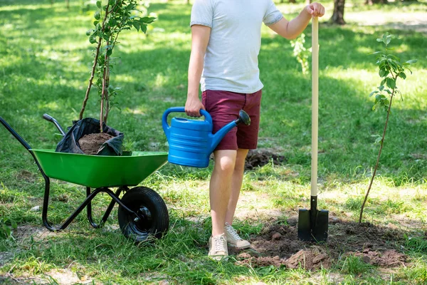 Vista Cortada Homem Com Regar Pode Plantando Novas Árvores — Fotografia de Stock