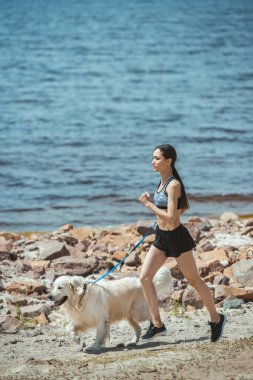 Genç Asyalı kadın jogger ile Golden retriever plajda çalışan 