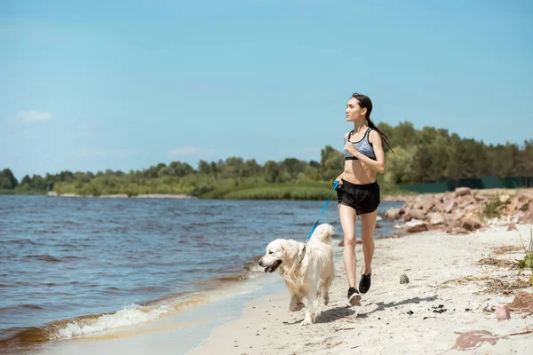 Joven Asiático Deportista Corriendo Con Golden Retriever Playa — Foto de Stock