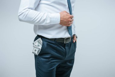 gri izole cebinde para ile ayakta yatırımcı kırpılmış görüntü