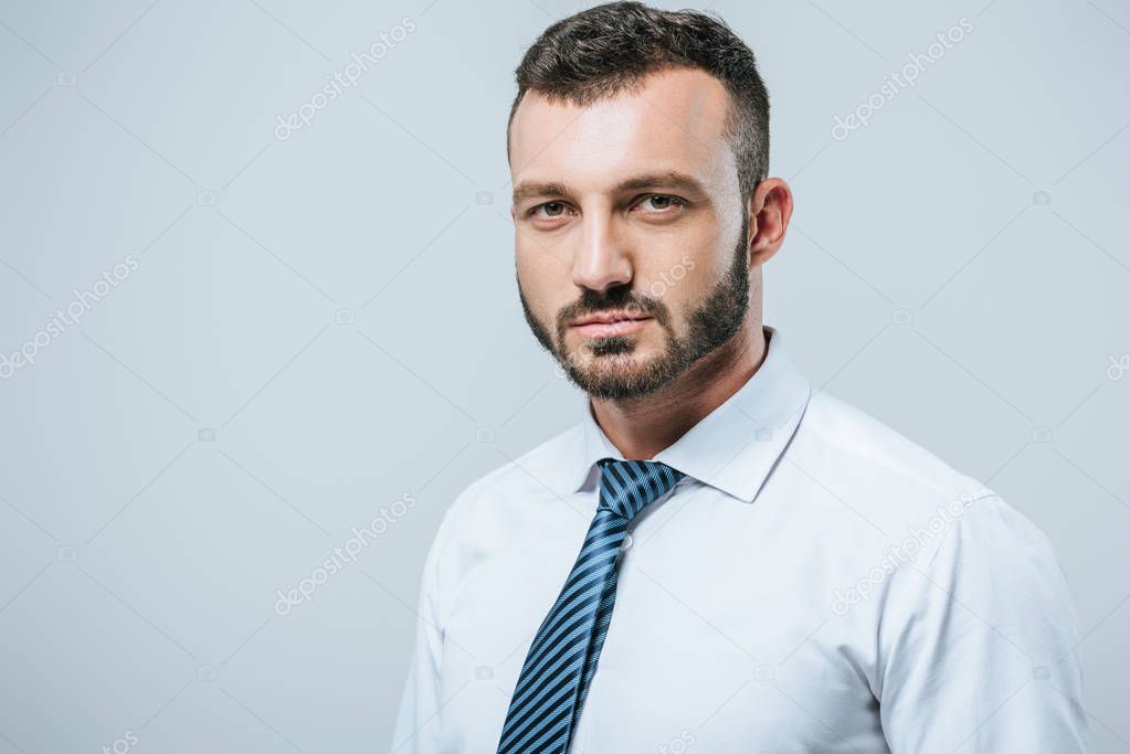 portrait of businessman looking at camera isolated on grey