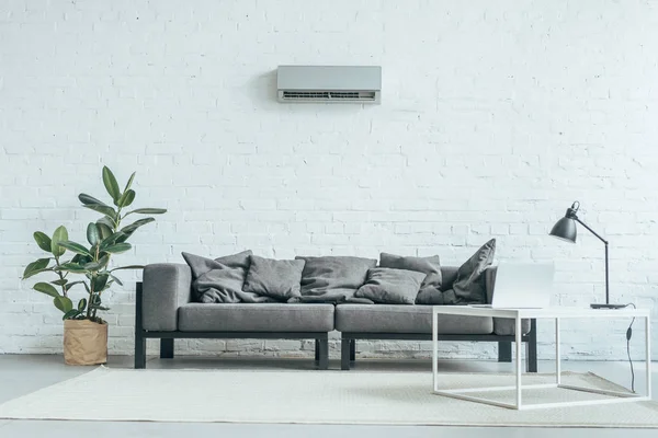 Empty Room Grey Sofa Ficus Laptop Table Air Conditioner White — Stock Photo, Image