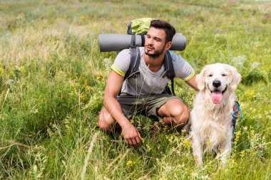 sırt çantası ve yeşil alanında oturup golden retriever köpek ile turizm
