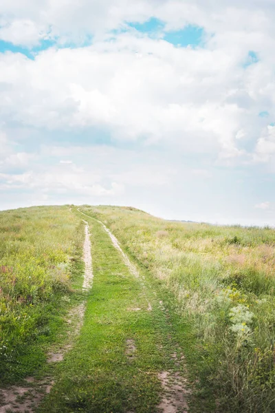 Meadow Path Green Grass Cloudy Sky — Stock Photo, Image