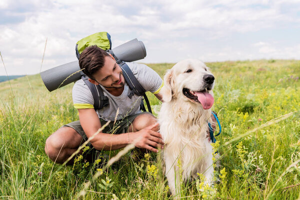 Путешественник с рюкзаком и собакой сидит на зеленом лугу
