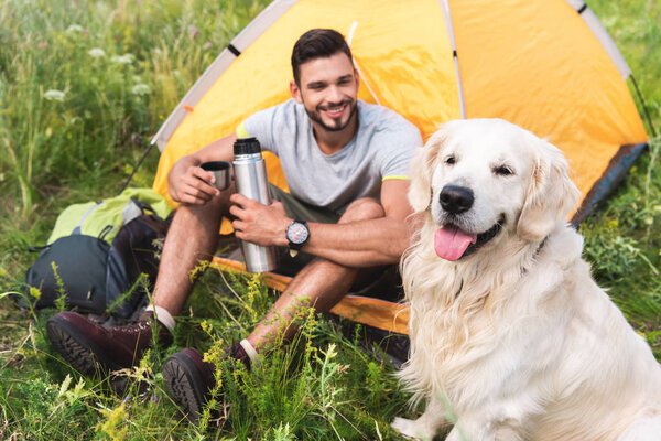 tourist with thermos sitting in yellow tent with golden retriever dog