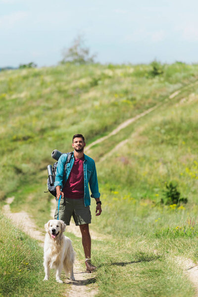 male traveler walking with dog on path on summer meadow