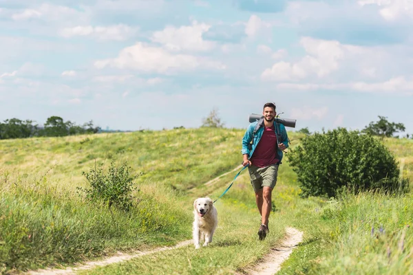 夏天草甸路上的旅行者与狗赛跑 — 图库照片